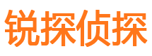 莱城侦探公司